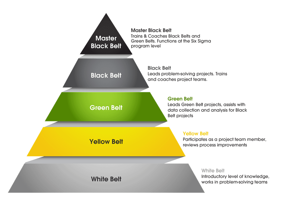 Six Sigma Belts