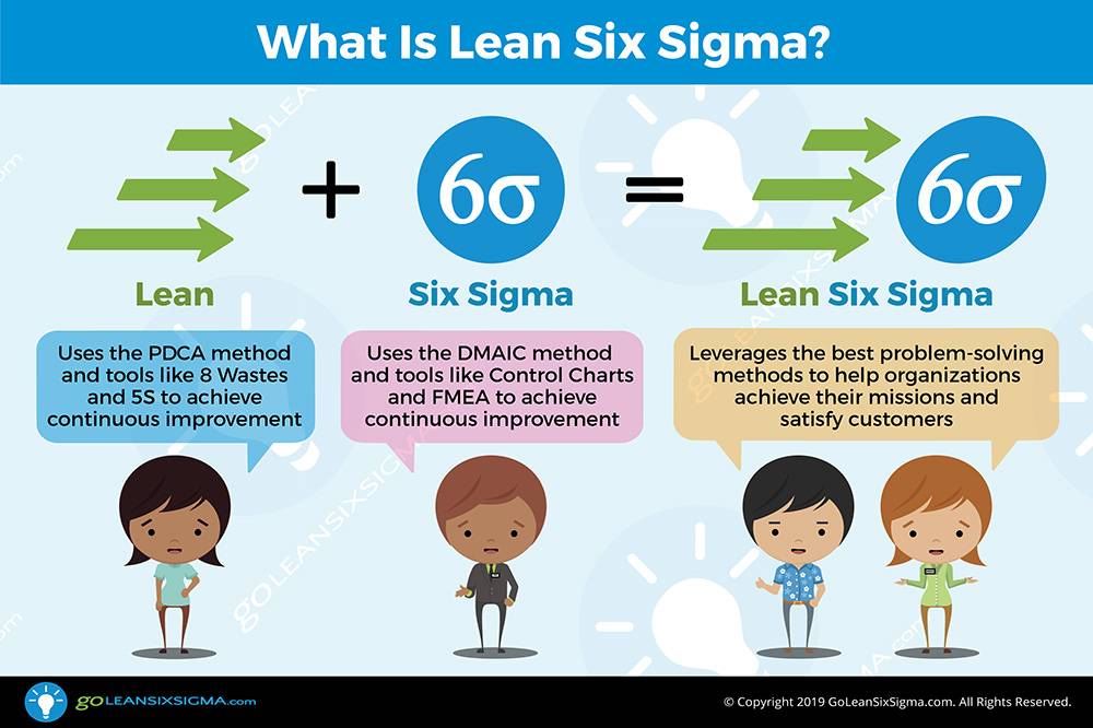 Who is the right Six Sigma candidate according to the professionals?