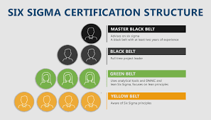 The Six Sigma certification hierarchy