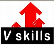 v skills logo